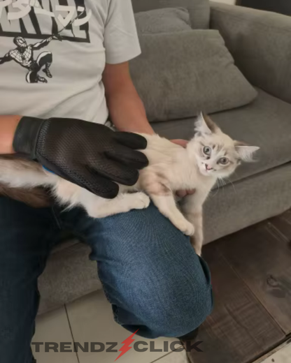 GUANTE MASAJEADOR QUITA PELOS PARA GATOS Y PERROS